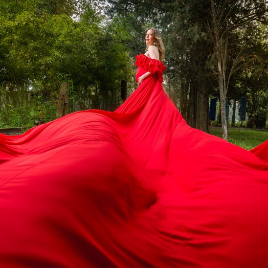 "Rosalía" - Vestido para sesión de fotos de embarazo